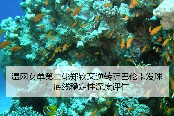 温网女单第二轮郑钦文逆转萨巴伦卡发球与底线稳定性深度评估